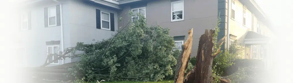 storm damage