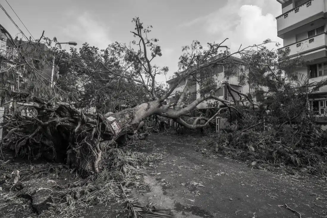 wind damage