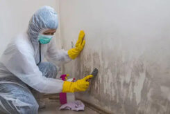 Mold Remediation