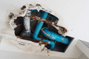 Water Leak Insurance Claim