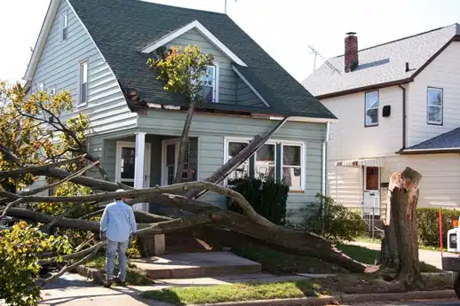 does insurance cover a tree falling on your house