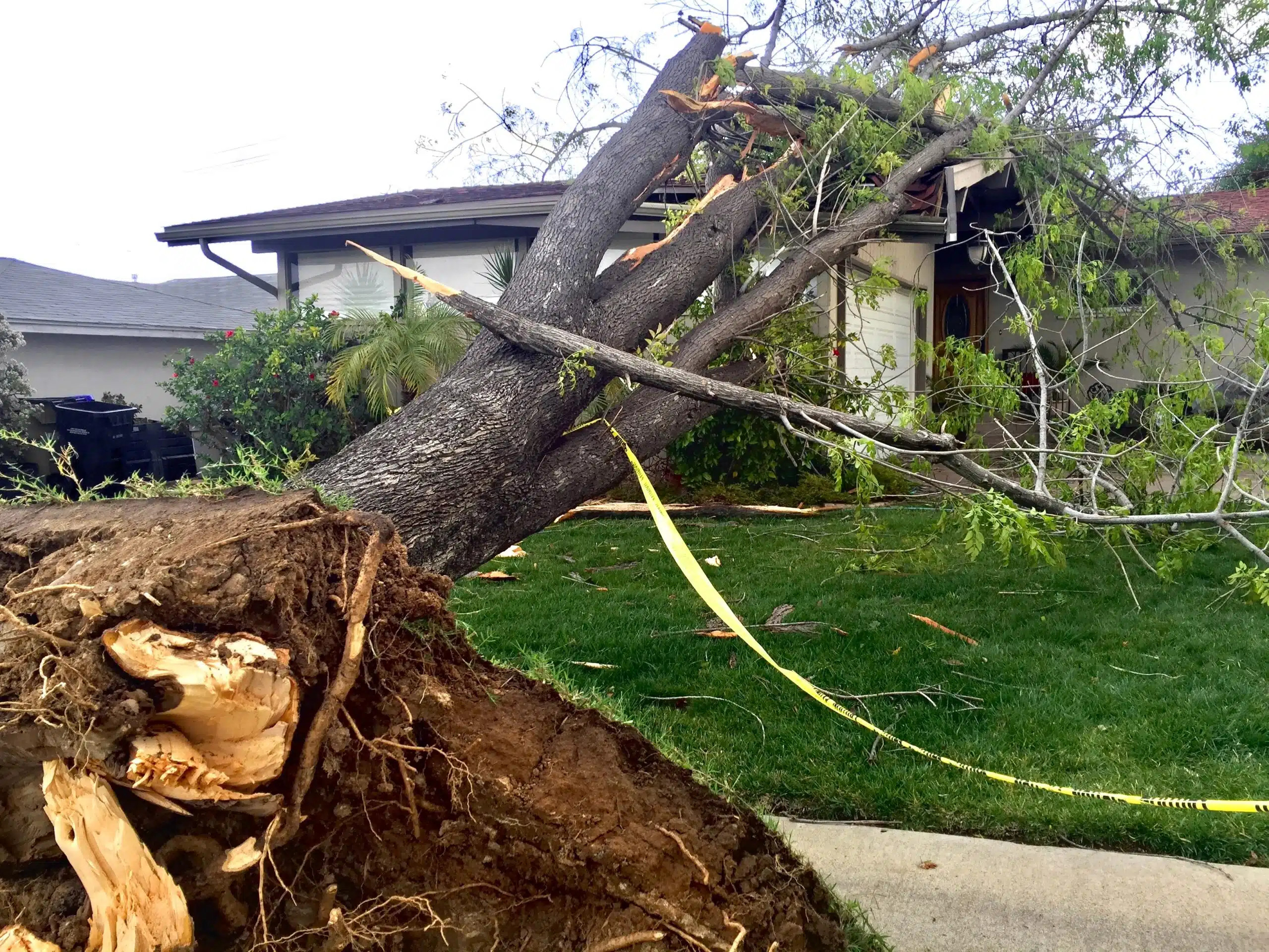 hurricane damage