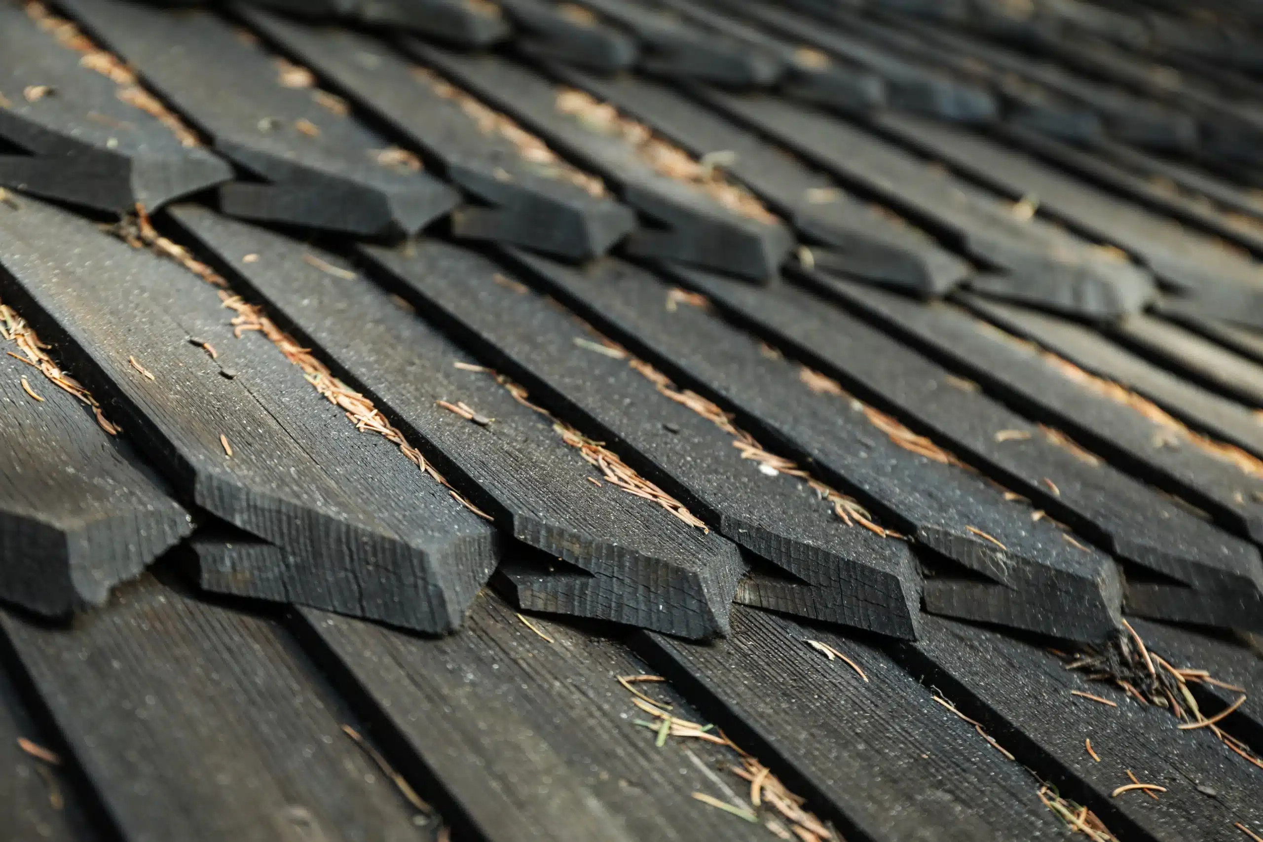 Hurricane Roof Damage