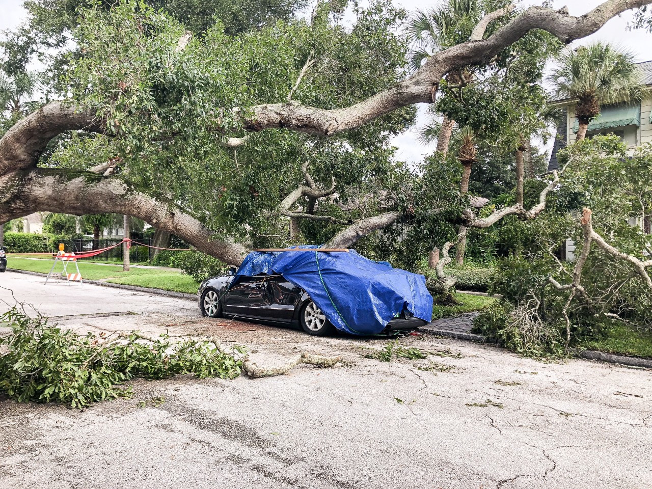 hurricane damage