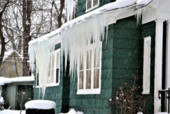 icicles