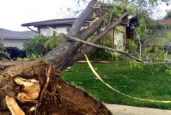 tree fell on house