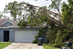 hurricane damage