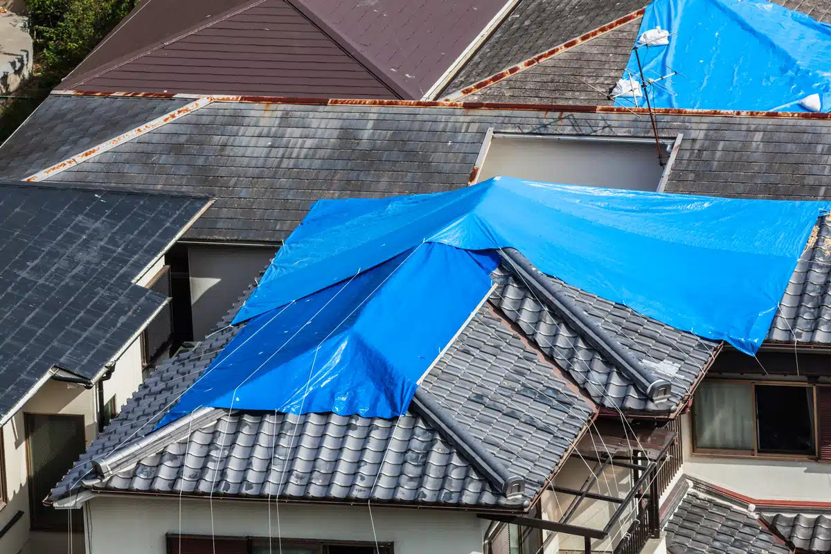 tarps on roofs