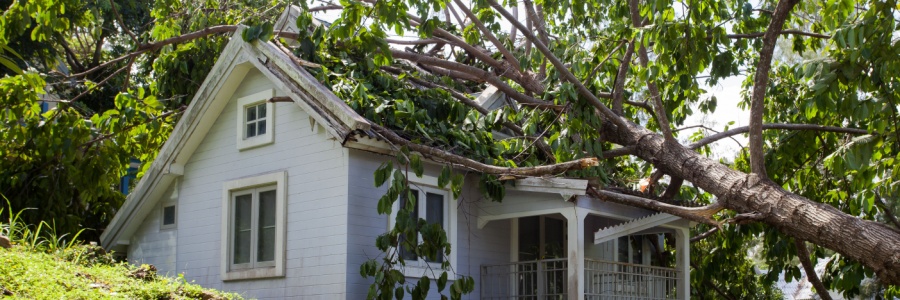 hurricane damage