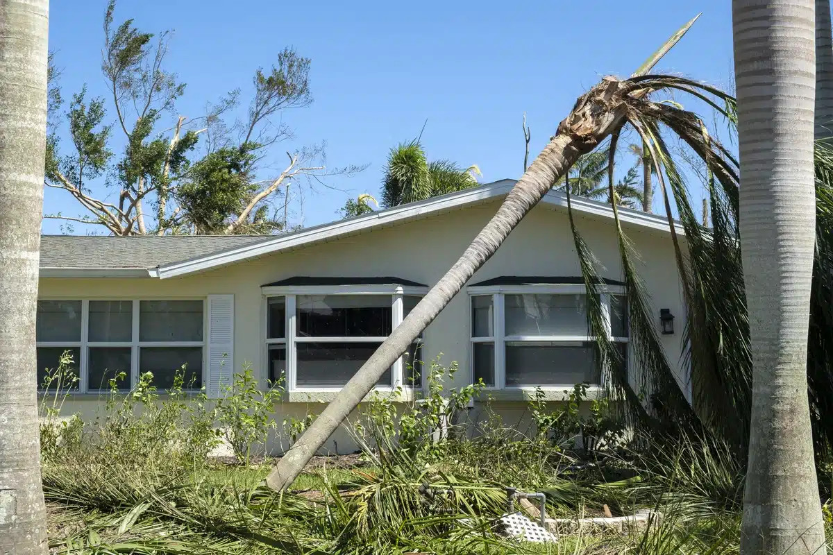 Hurricane Damage