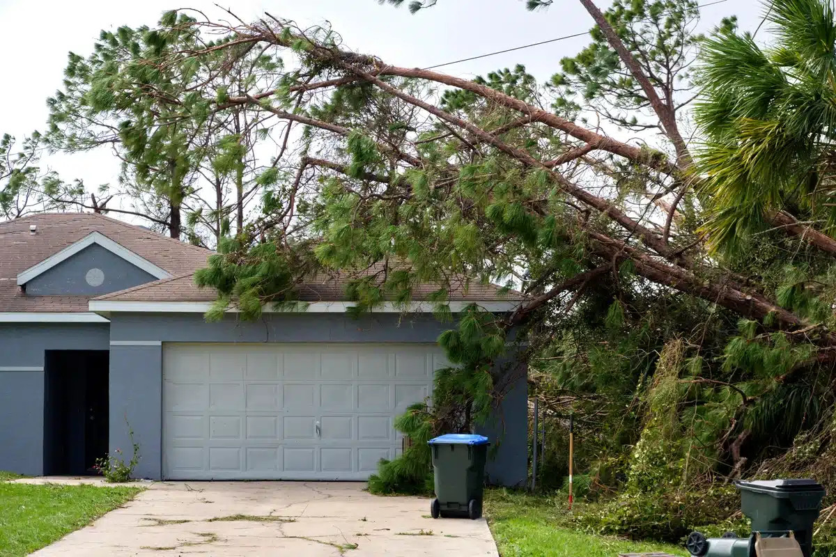 storm damage